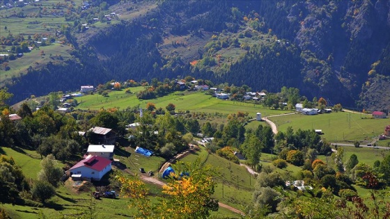 Doğu Karadeniz için 20 milyon liralık destek paketi