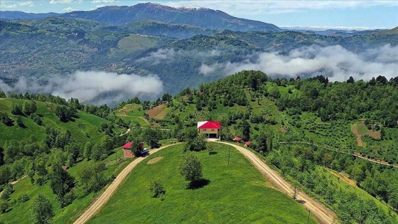 Doğu Karadeniz yaylaları ziyaretçilerini ağırlamaya hazırlanıyor