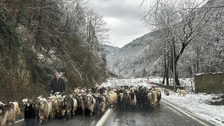 Doğu Karadeniz'de ulaşım sağlanamayan 395 köy yolundan 287'si açıldı