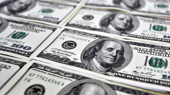 Dolar/TL 2,95'in üzerini test etti