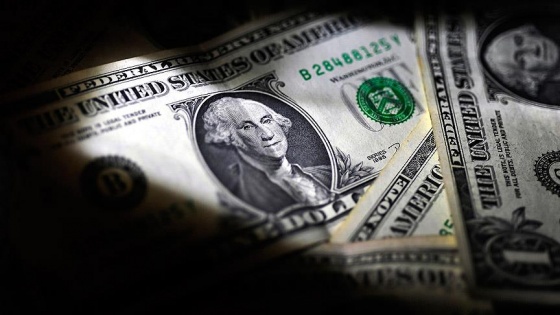 Dolar/TL yeni rekorunu 3,3165'e taşıdı