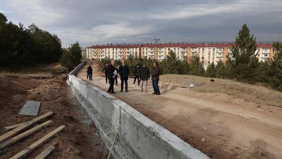 Domuzlara istinat duvarlı önlem