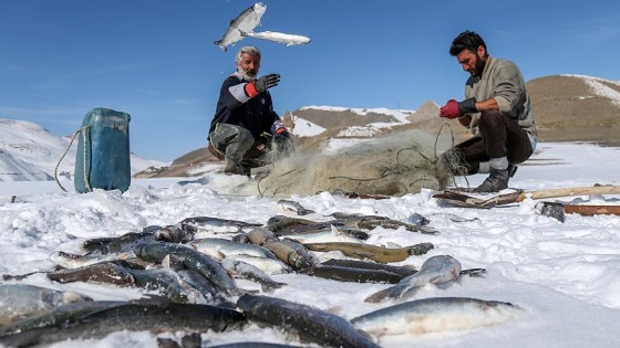 Donan gölde tehlikeli balık avı