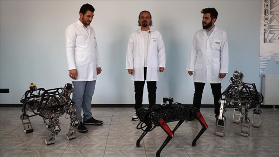 Dört ayaklı robot &#039;Arat&#039; geliştirilmeye devam ediyor