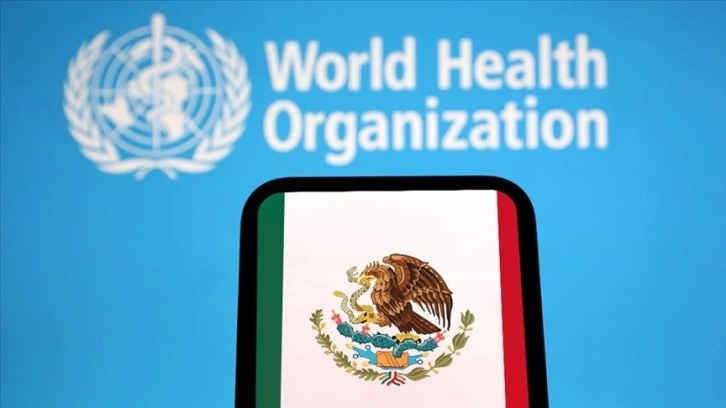 DSÖ, Meksika'da kuş gribinin bir alt türü olan A(H5N2) nedeniyle ilk ölümü doğruladı