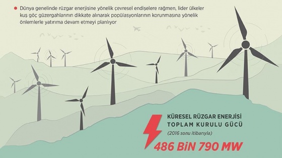 Dünya çevresel önlemlerle 'rüzgar'a koşuyor