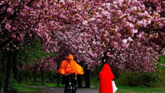 Dünya Meteoroloji Örgütü: Bu yıl Avrupa 2013'ten bu yana en soğuk baharı yaşadı