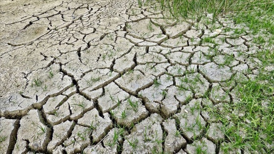 Dünya Meteoroloji Örgütüne göre Kovid-19/ koronavirüs salgını iklim değişikliğini durdurmayacak