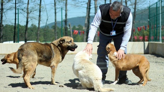 'Dünyanın ikici büyük hayvan barınağı' Tepeören'de açıldı