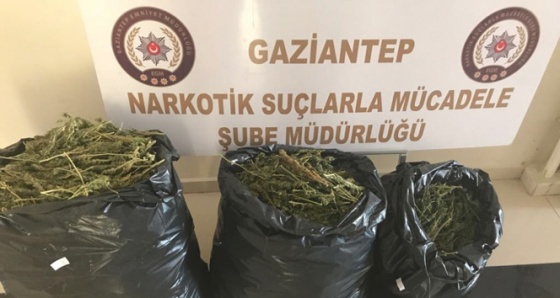 Durdurulan araçtan 20 kilo uyuşturucu çıktı