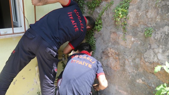 Duvarların arasına sıkışan yavru köpeği itfaiye kurtardı