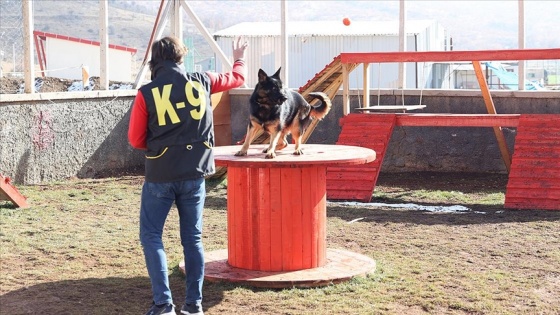 Duyarlı köpek eğitmeni afetlerde görev yapacak 'hassas burunları' gönüllü yetiştiriyor