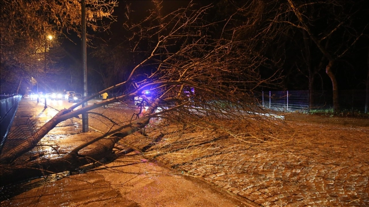 Edirne'de sağanak ağaç devrilmesine ve trafikte aksamalara sebep oldu