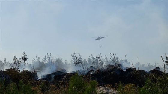 Edirne Keşan'da orman yangınına müdahale ediliyor
