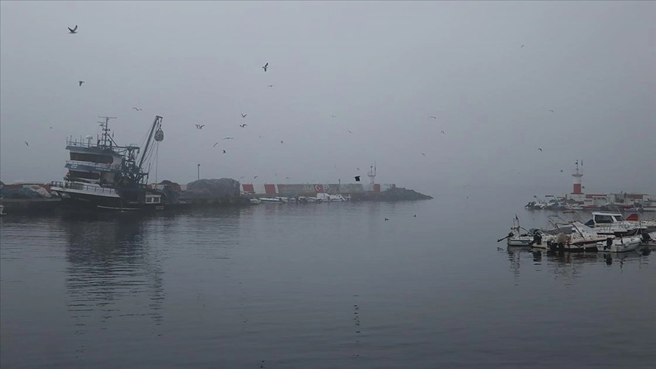 Edirne ve Tekirdağ'da yoğun sis etkili oldu