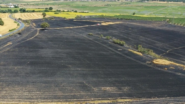 Edirne'de biçerdöverin tutuşması sonucu 100 dekarlık buğday ekili alan yandı