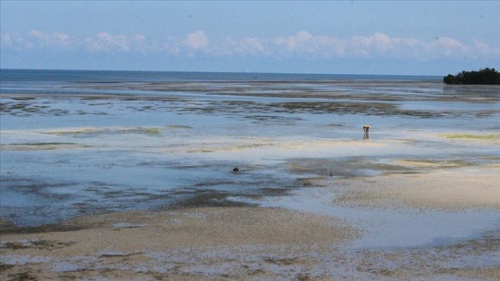 Ekmeğini gelgitten kazananların adası: Zanzibar