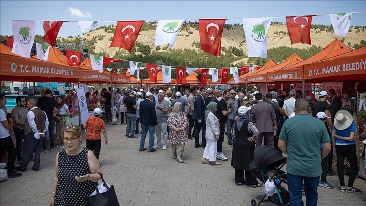 "Ekolojik Köy" doğal ürünleriyle festival ziyaretçilerine kapılarını açtı