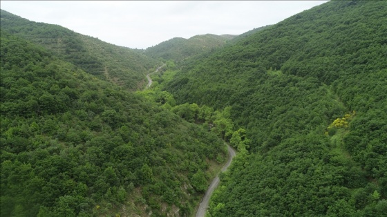 Ekosistemin restorasyonuyla hastalık riskleri azalıyor, sera gazı atmosferden temizleniyor