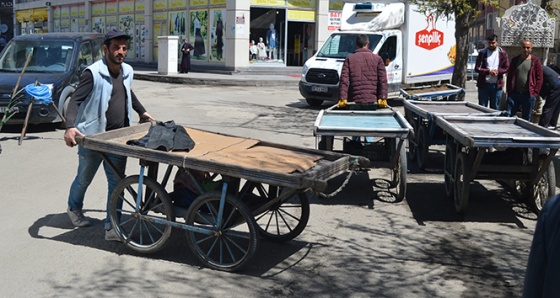 El arabacılarının zorlu yaşam mücadelesi