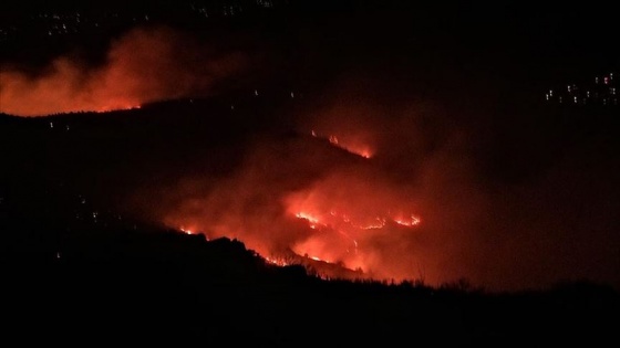 Elazığ'da Mastar Dağı'nda çıkan örtü yangınına müdahale ediliyor