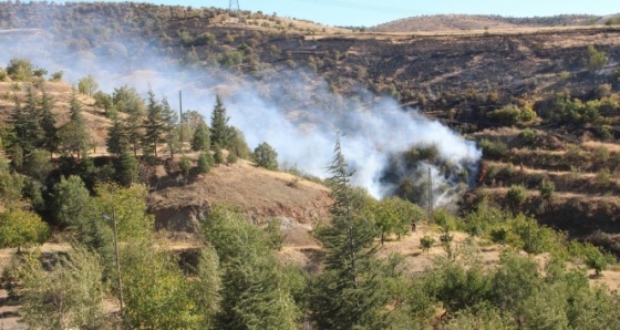 Elazığ’da orman ve bahçe yangını