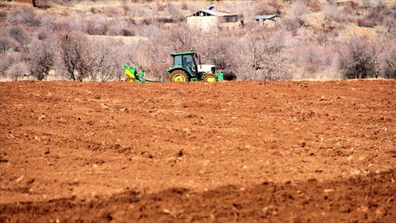 Elazığ ve Malatya'da tarımsal destekler bugün ödenecek