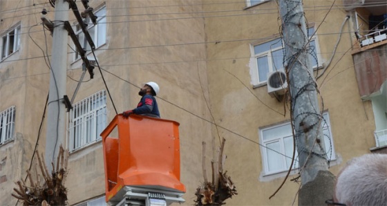 Elektrik tellerine asılı kalan kuş kurtarıldı