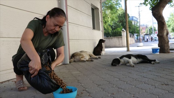 Emekli maaşını sokak köpekleri için de harcıyor