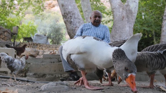 Emekli mühendis, araştırma için geldiği köyden 15 yıldır ayrılamıyor