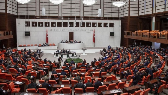 Erdoğan'ın veto ettiği tasarı düzenlenmiş haliyle yasalaştı