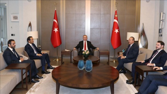 Erdoğan, Katar Başbakan Yardımcısı ve Dışişleri Bakanı Sani'yi kabul etti