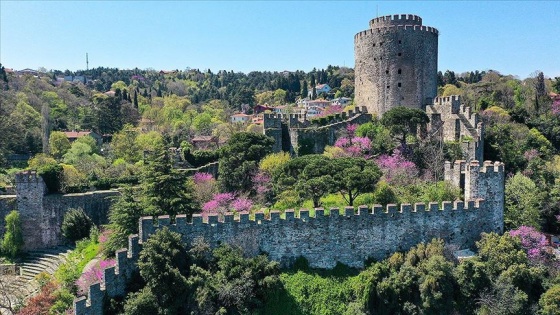 Erguvanlar İstanbul Boğazı'nı taçlandırdı