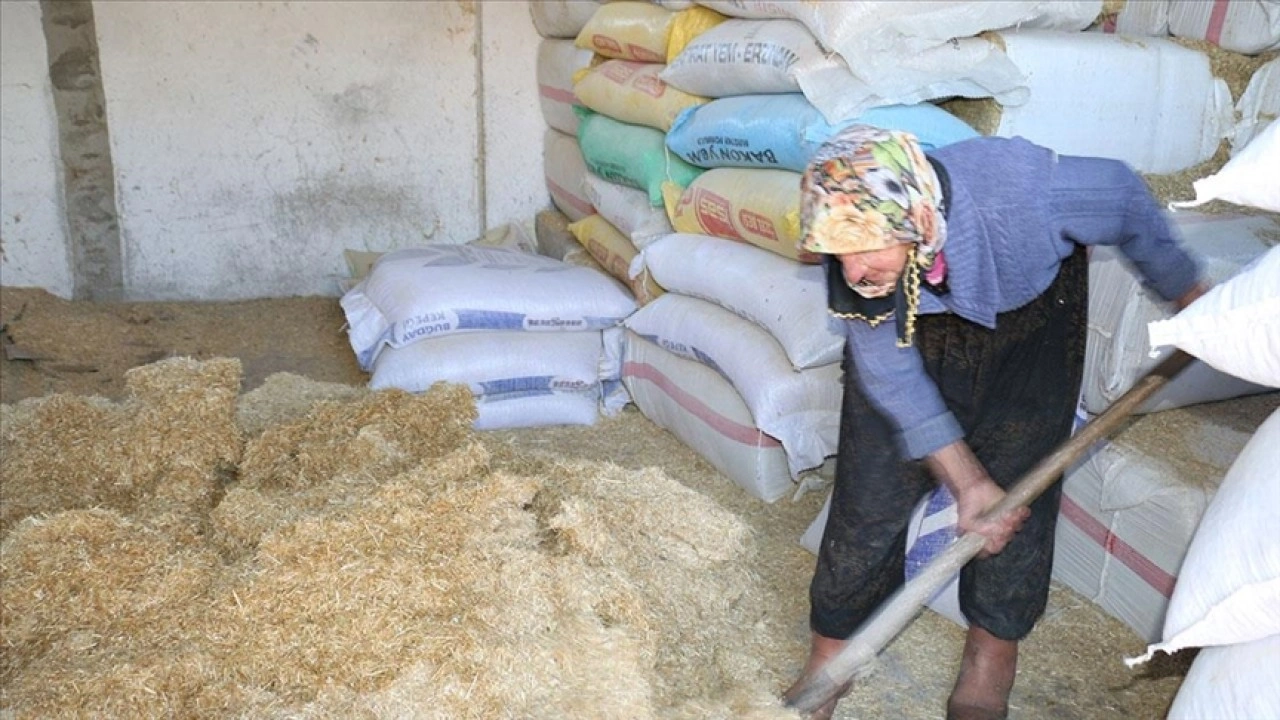 "Erzincan'ın çalışkan ninesi" 79 yaşında hayvancılığa devam ediyor