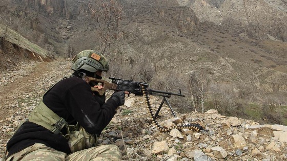 Erzurum'da 2 terörist etkisiz hale getirildi