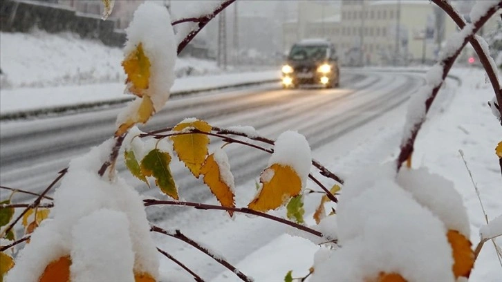 Erzurum, Kars ve Ardahan'da etkili olan kar ve soğuk hava 