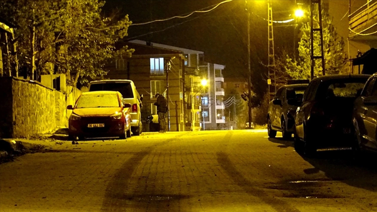 Erzurum ve Kars'ta kar yağışı etkili oldu