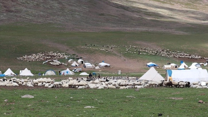 Erzurum'daki Dumlubaba Yaylası'nda göçerlerin günlük yaşamı zorlu geçiyor