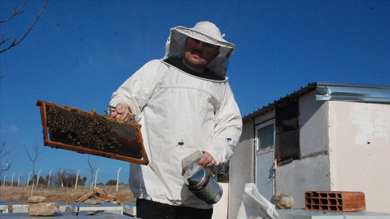 Eskişehirli üreticinin yüksek kalitedeki balı uluslararası yarışmada birinci seçildi