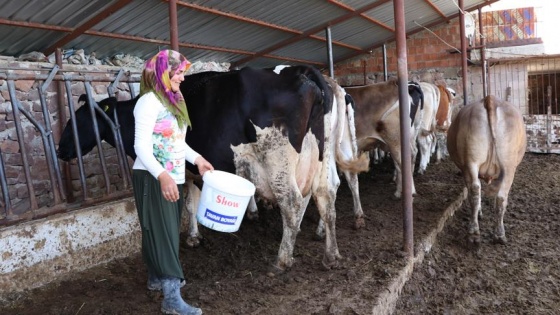 Ev hanımıydı devlet desteğiyle besici oldu