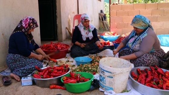 Ev hanımlarının kışlık hazırlama telaşı başladı