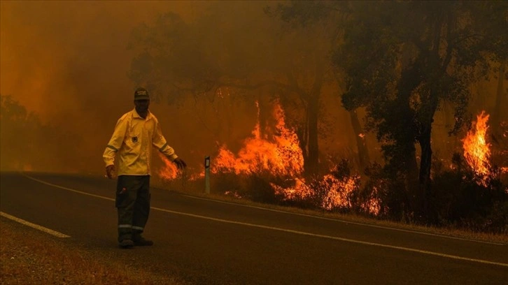 Fas, yazın gelmesiyle artan orman yangınlarının önüne geçmeye hazırlanıyor