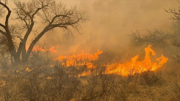 Faslı uzman, yüksek sıcaklık ve devam eden kuraklık nedeniyle orman yangını uyarısı yaptı