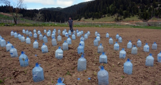 Fasulye tohumları damacana ile korunuyor