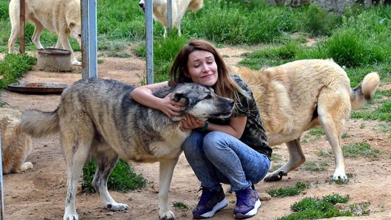 Fatma öğretmen sokak hayvanları için yollarda