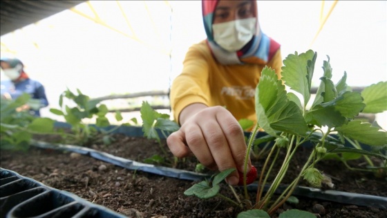 Fedakar öğretmenler &#039;özel öğrenciler&#039; için toprağa dokundu