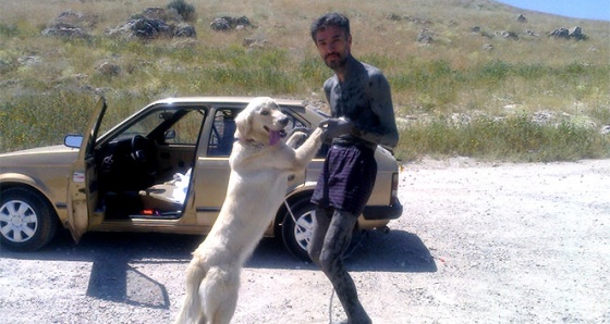 Felçli adamı ayağa kaldıran köpeği bulana ödül