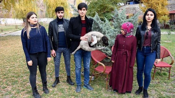 Felçli köpeğe üniversite öğrencileri sahip çıktı