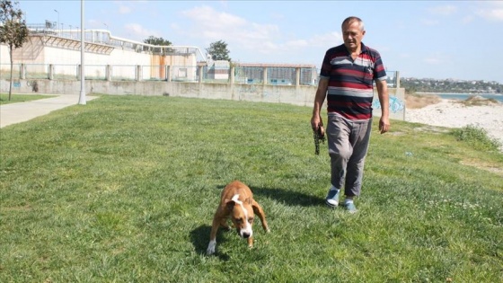 Felçli köpeğine her gün 2 saat antrenman yaptırıyor