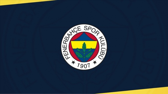 Fenerbahçe'de Caner Erkin ve Sinan Gümüş kadro dışı bırakıldı